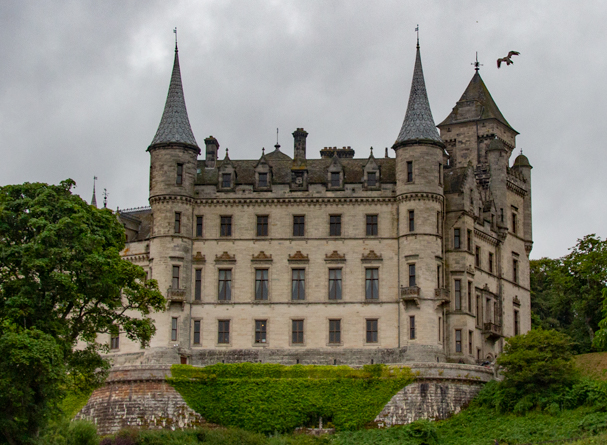 Falconry demonstration at Dunrobin Castle